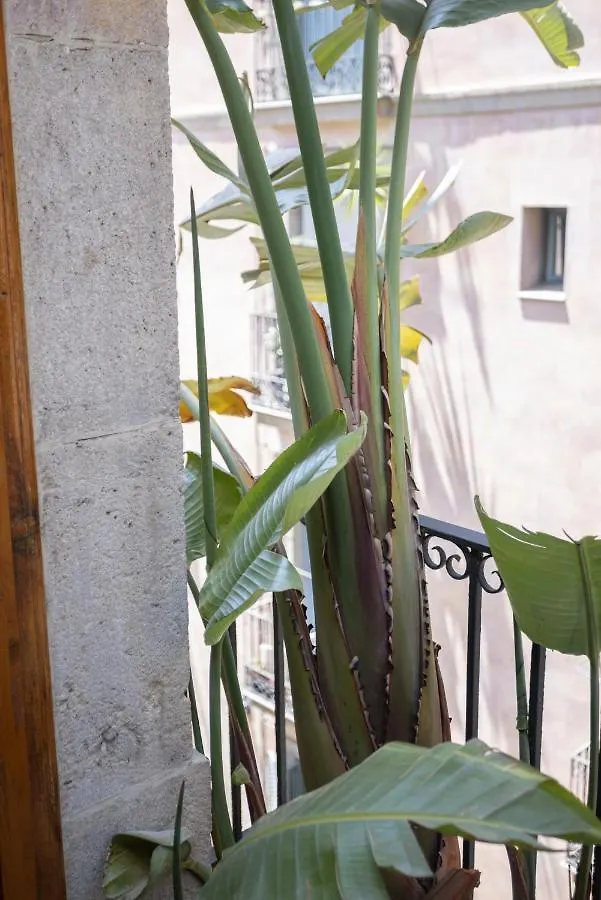 Hostal Sol Y K Barcelona Vendégház