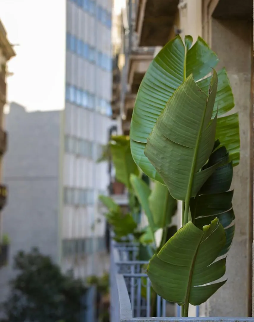 Hostal Sol Y K Barcelona