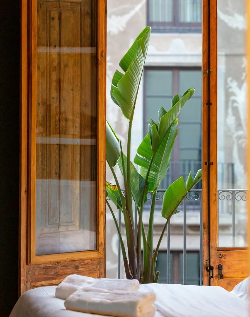 ** Guest house Hostal Sol Y K Barcelona Spain