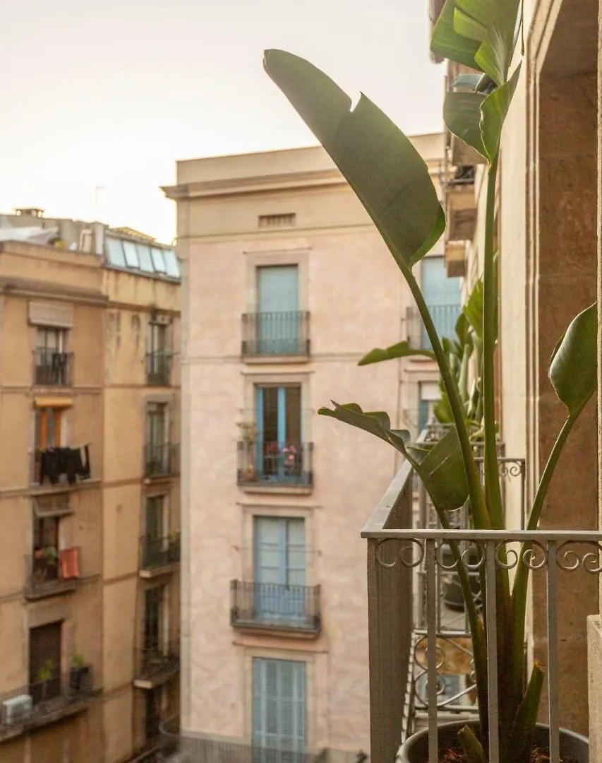 Hostal Sol Y K Barcelona 2*,  Spain